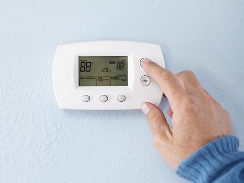 Divi-Image-Hover-Hero-Image-3-1